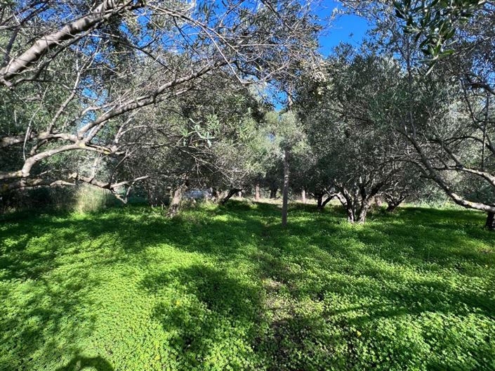 Image No.8-Terrain à vendre à Agios Nikolaos