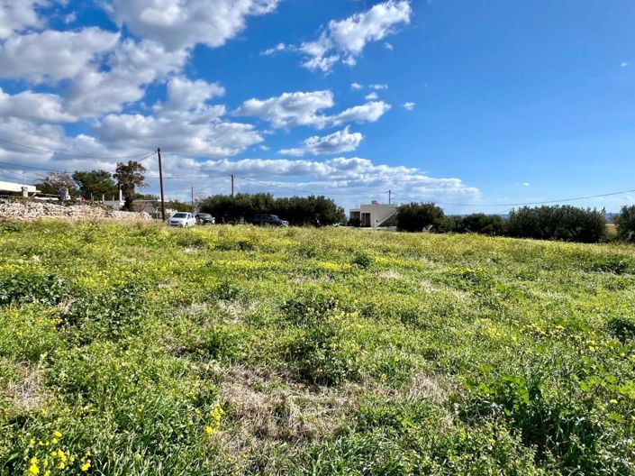 Image No.3-Plot for sale