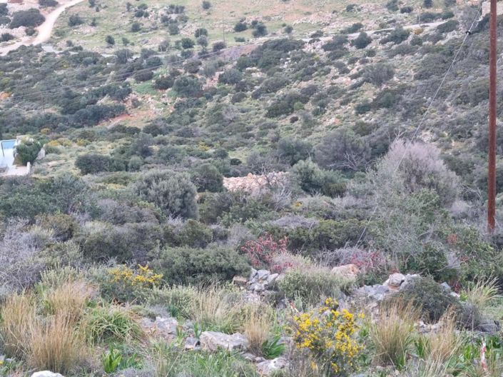 Image No.11-Plot for sale