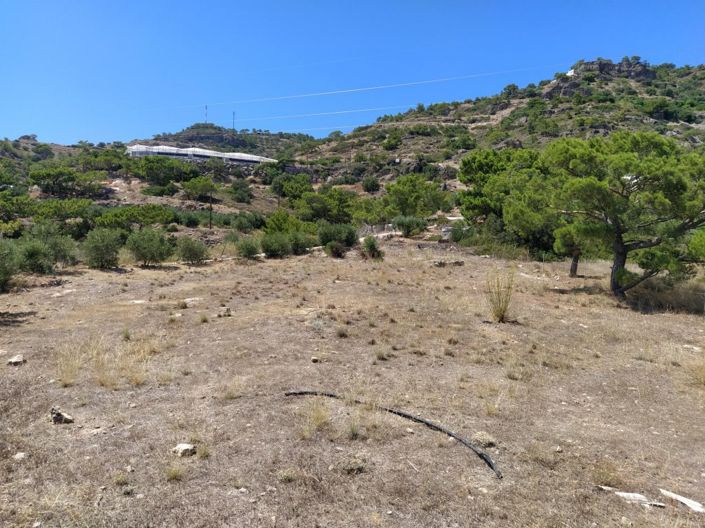 Image No.10-Plot for sale