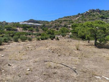 plach1-photo-7-1024x768