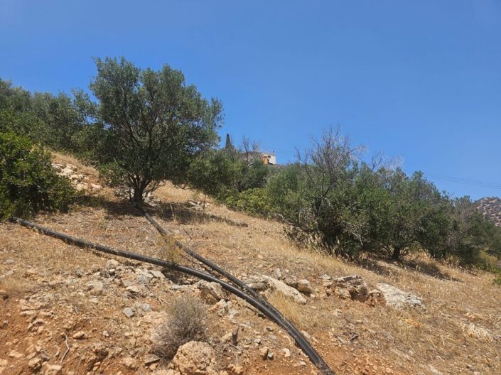 Image No.9-Land for sale