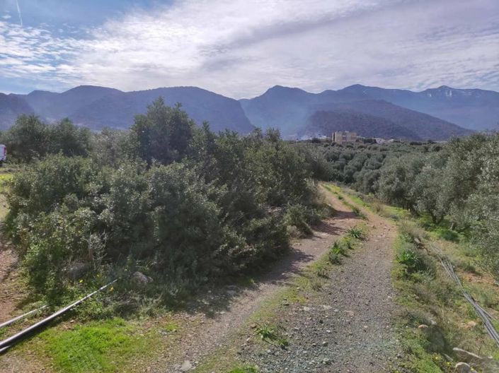 Image No.8-Terrain à vendre à Agios Nikolaos