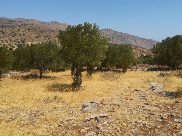 Image No.9-Terrain à vendre à Elounda
