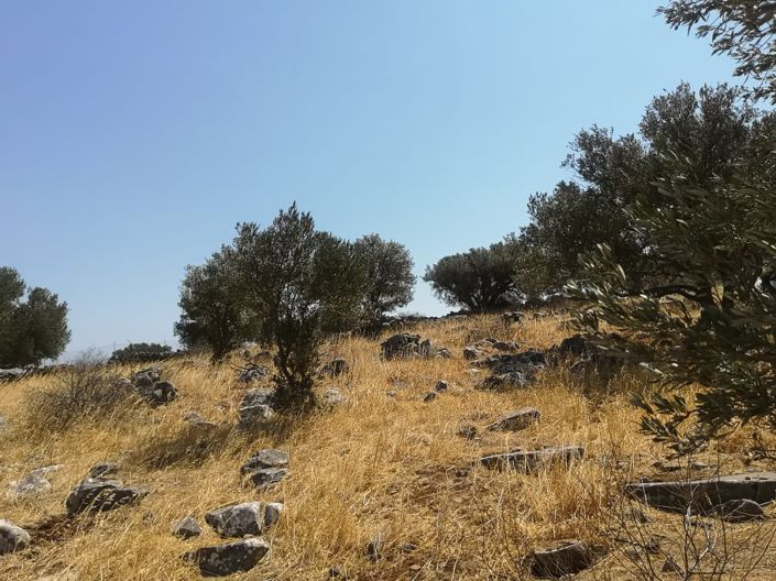 Image No.10-Terrain à vendre à Elounda