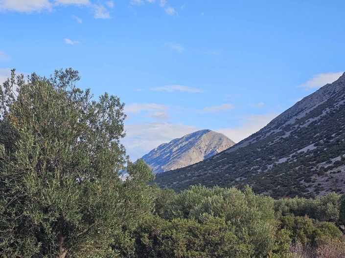 Image No.10-Terrain à vendre à Lasithi