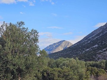 plmon1-plmon2-plmon3-9-1024x768