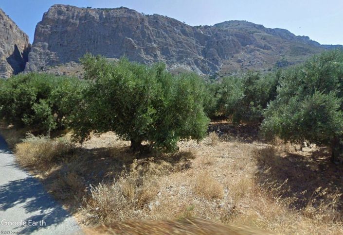 Image No.2-Terrain à vendre à Lasithi