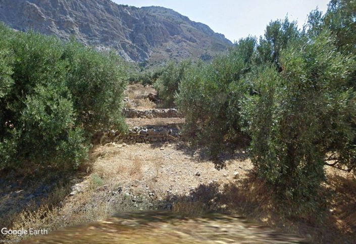 Image No.3-Terrain à vendre à Lasithi