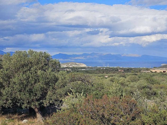 Image No.7-Terrain à vendre à Lasithi