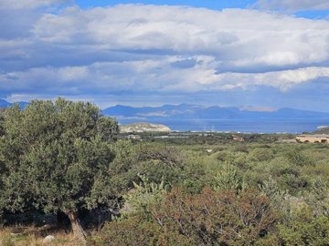 plmon1-photo-2-1024x768