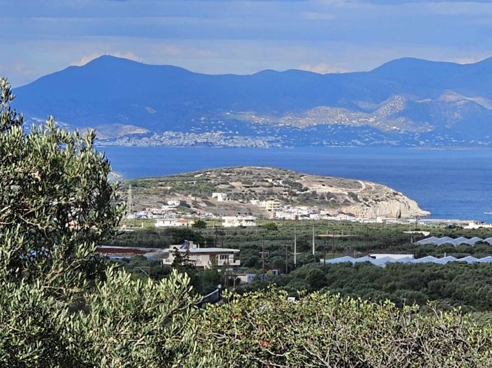 Image No.8-Terrain à vendre à Lasithi