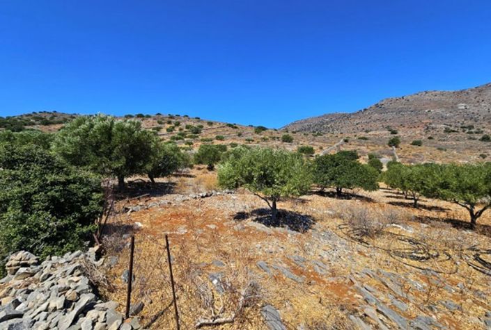 Image No.3-Terrain à vendre à Elounda