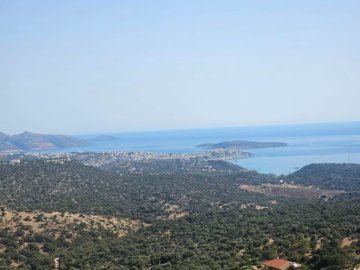 plmar28-photo-1-1024x768