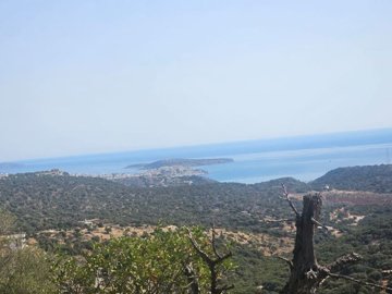 plmar28-photo-4-1024x768