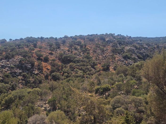 Image No.9-Plot for sale