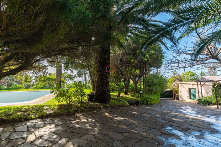 Image No.7-Villa de 3 chambres à vendre à Machico