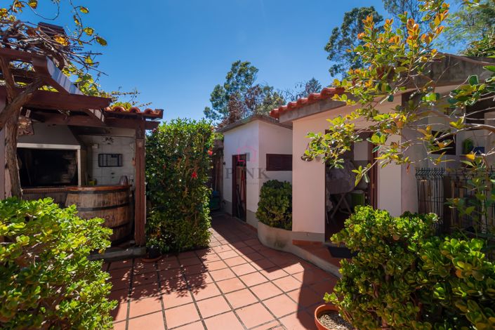 Image No.8-Villa de 3 chambres à vendre à Machico