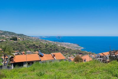 1 - Santa Cruz, Terre