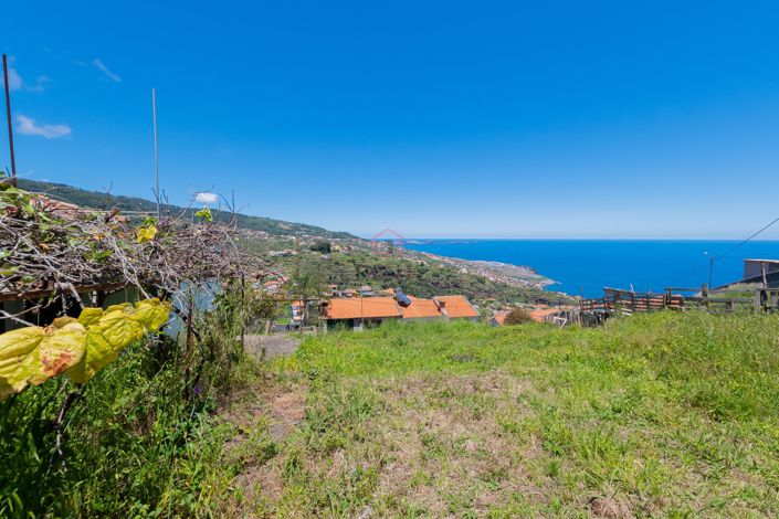 Image No.7-Terre à vendre à Santa Cruz