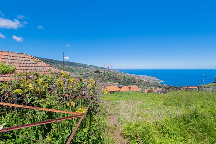 Image No.8-Terre à vendre à Santa Cruz