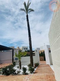 116-636580-4f641b0a83626aa13f69ce3570ee39547c