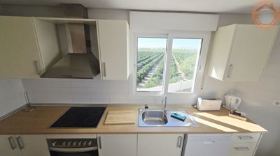 116-641756-4f641b0a83626aa13f69ce3570ee39547c