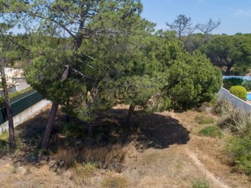 2092-13536-7cad0fe82e642c54e3fe1d772f22d68ea5