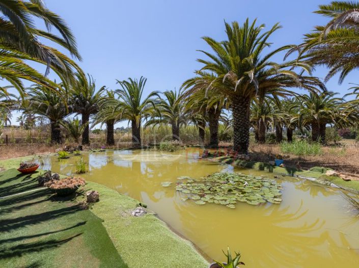 Image No.35-5 Bed House for sale