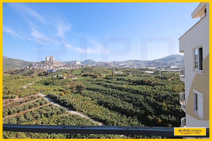 Image No.26-4 Bed Duplex for sale