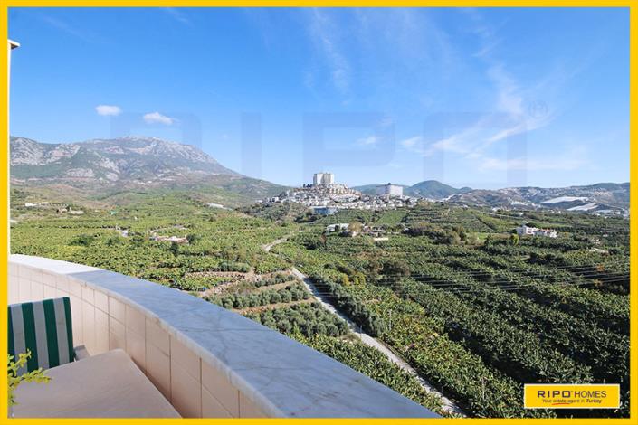 Image No.37-4 Bed Duplex for sale