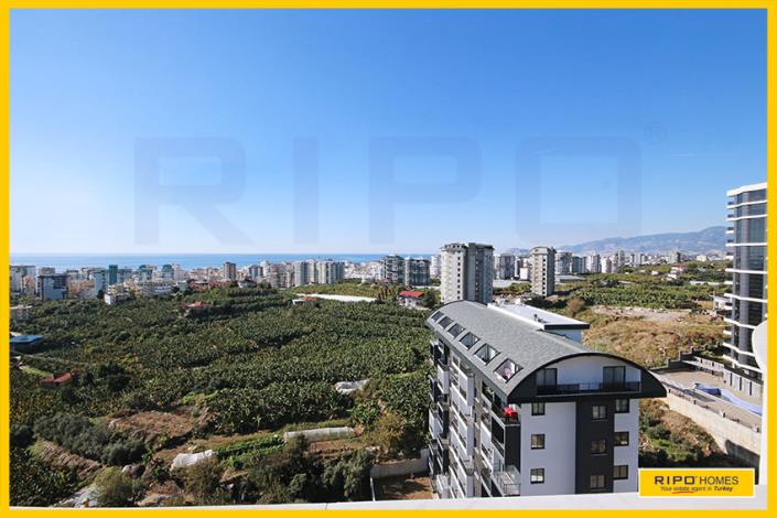 Image No.49-4 Bed Duplex for sale