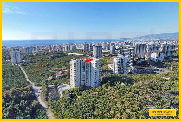 Image No.60-4 Bed Duplex for sale