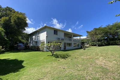 mountstandfastplantationno3-mounstandfastplan