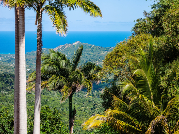 Image No.12-Terre de 5 chambres à vendre à St James