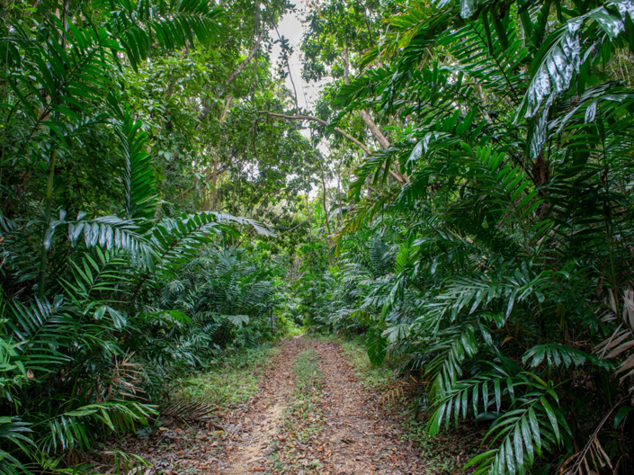 Image No.9-Terre de 5 chambres à vendre à St James