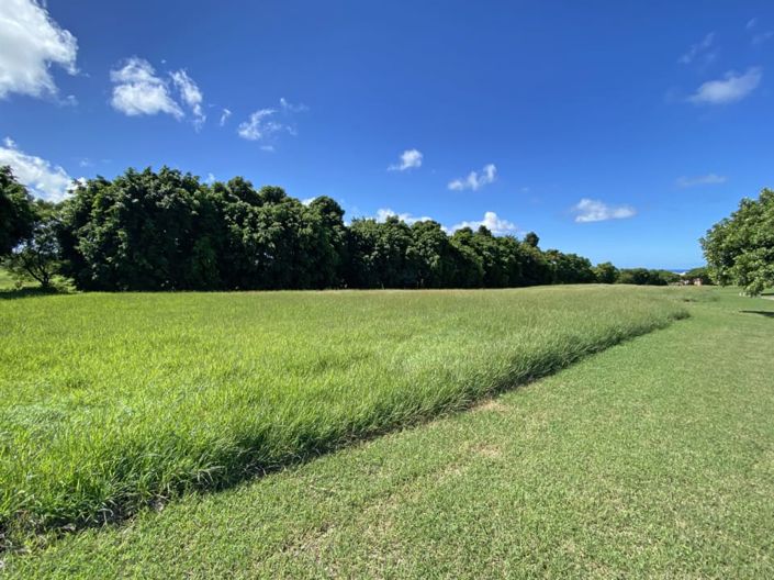 Image No.2-Terre à vendre à St James