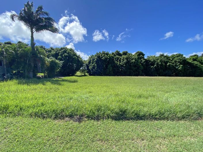 Image No.3-Terre à vendre à St James