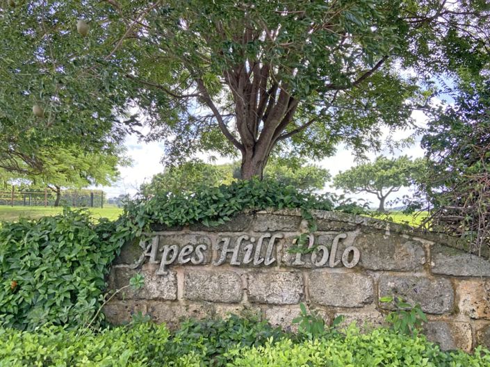 Image No.10-Terre à vendre à St Thomas