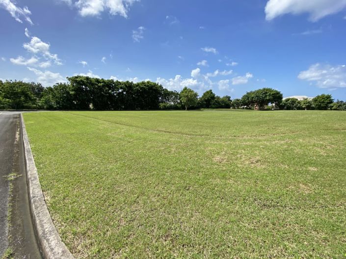 Image No.3-Terre à vendre à St Thomas