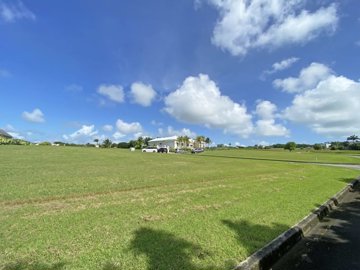 apeshillpoloestatelot33-v47721d-792430