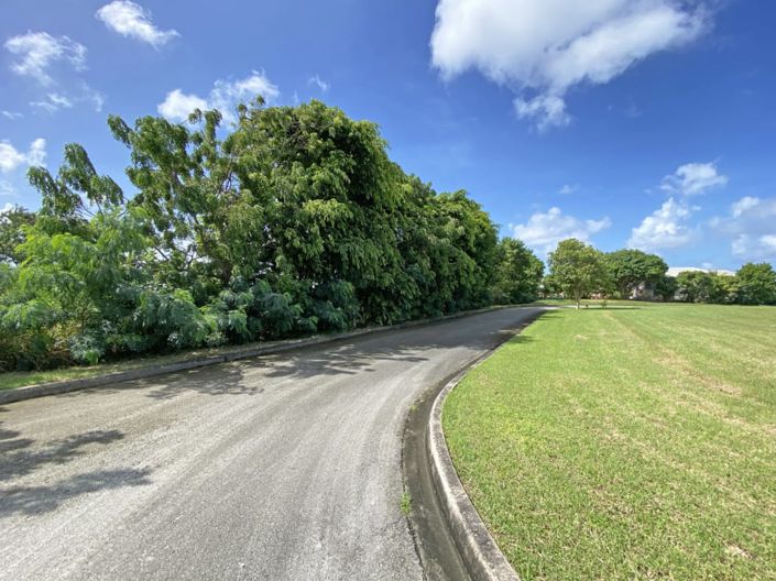 Image No.6-Terre à vendre à St Thomas