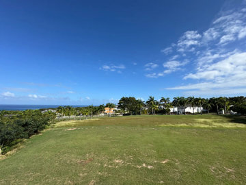 calijandrano14-image-8-849712