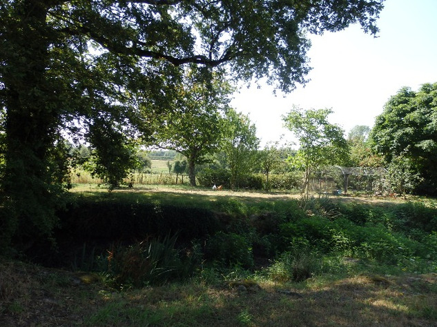 Image No.14-Propriété de 10 chambres à vendre à Saint-Léger-Magnazeix