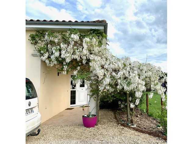 Image No.3-Bungalow de 4 chambres à vendre à Mauprévoir