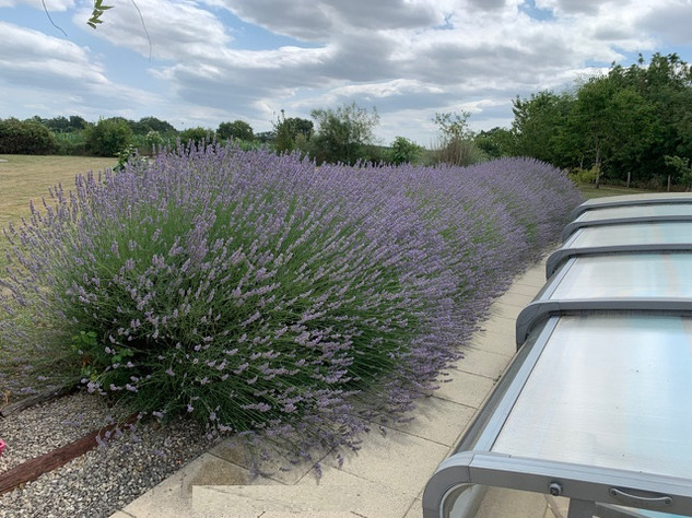 Image No.19-Bungalow de 4 chambres à vendre à Mauprévoir