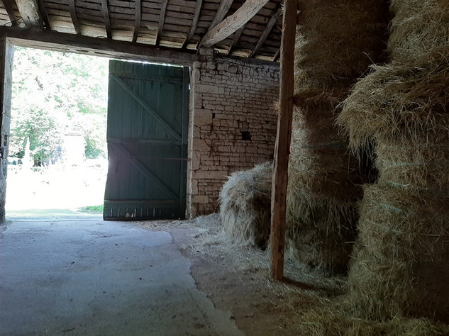 Image No.37-Châteaux de 9 chambres à vendre à Chef-Boutonne