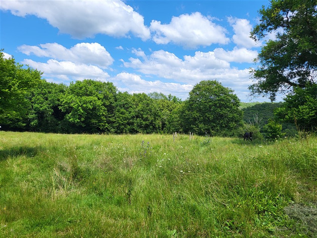 Image No.2-Maison de 3 chambres à vendre à Val-d'Oire-et-Gartempe