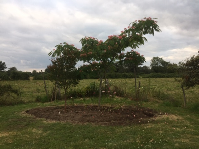 Image No.18-3 Bed House for sale