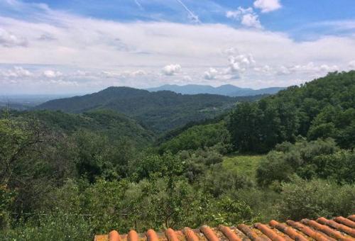 Image No.8-Jumelé de 2 chambres à vendre à Lucca